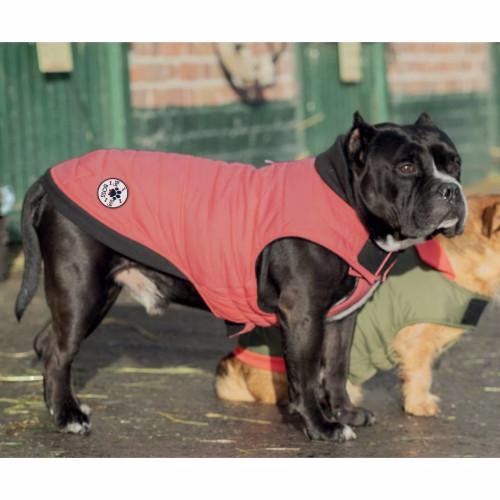 Manteau douillet imperméable pour chien Costaud BLUSH