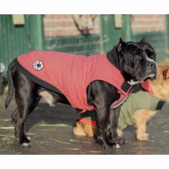 Manteau douillet imperméable pour chien Costaud BLUSH