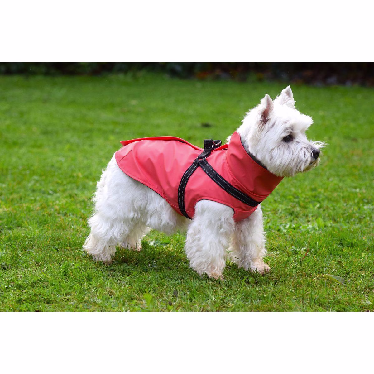 Imperméable avec harnais intégré Tom corail