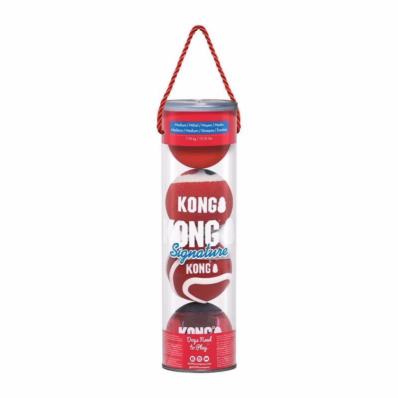 Lot de 4 Balles KONG signature Medium