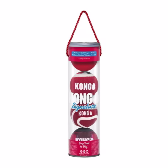 Lot de 4 Balles KONG signature Medium
