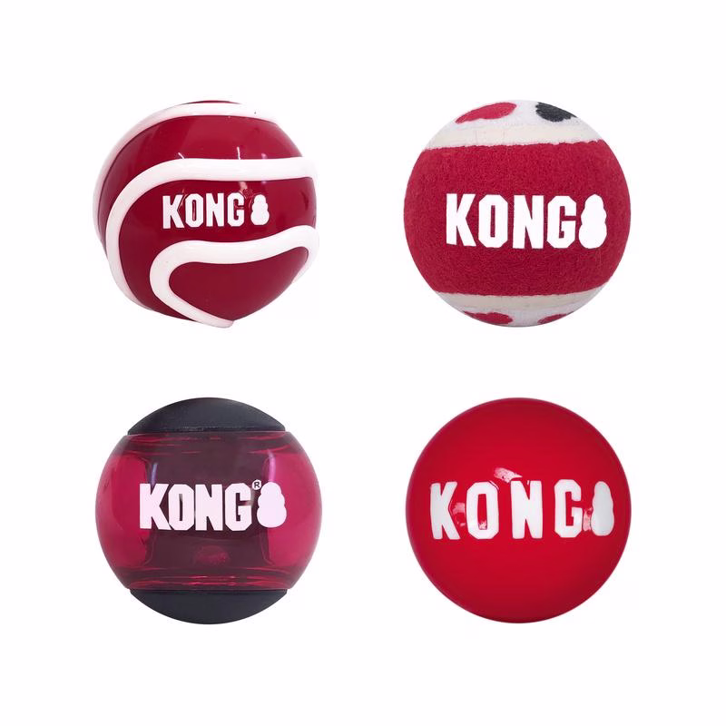 Lot de 4 Balles KONG signature Medium
