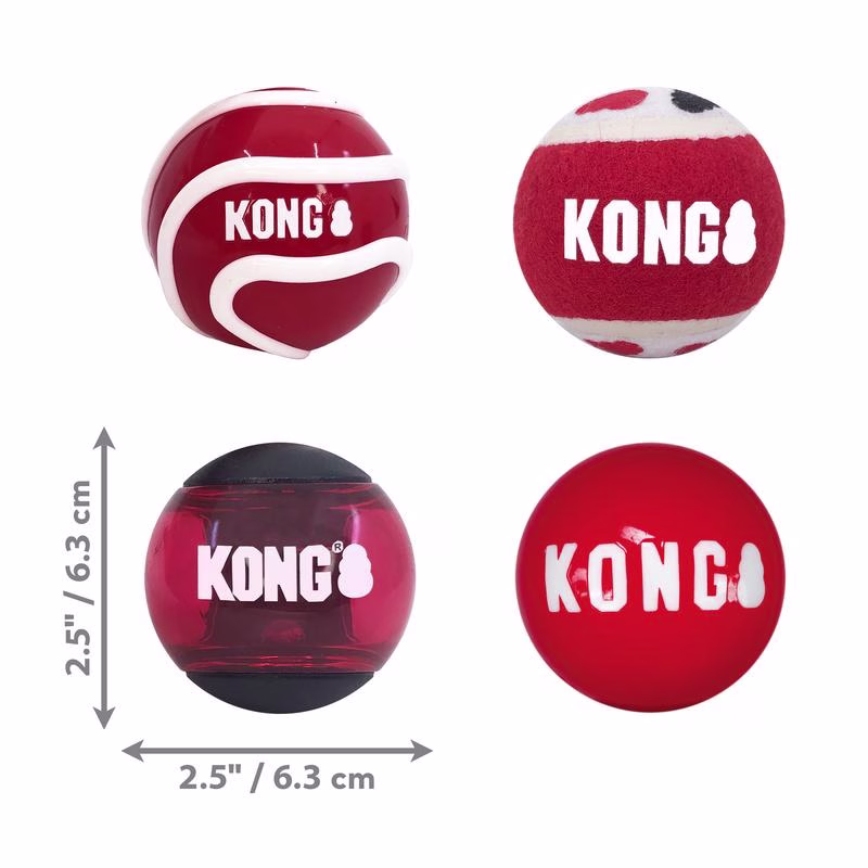 Lot de 4 Balles KONG signature Medium
