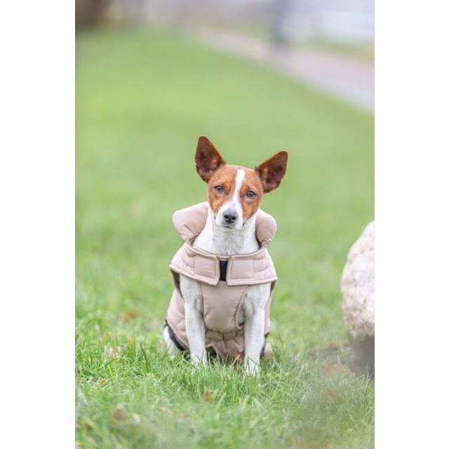 Manteau pour chien imperméable et chaud Lesmont