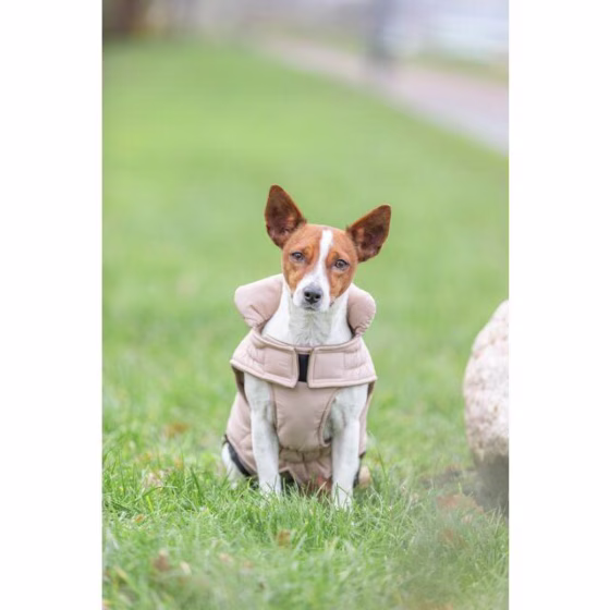 Manteau pour chien imperméable et chaud Lesmont
