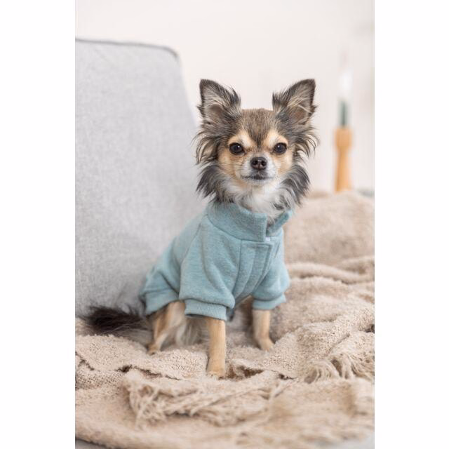 Sweat pour chien Littleton