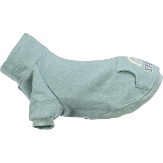 Sweat pour chien Littleton