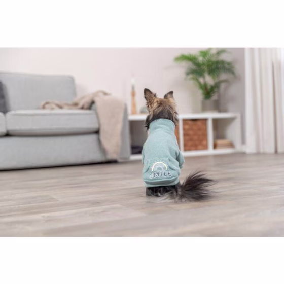 Sweat pour chien Littleton