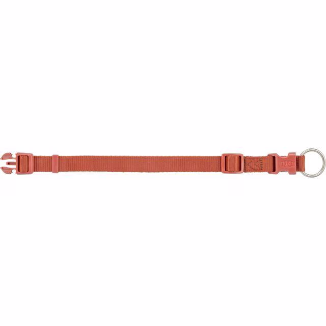 Collier Premium pour petit et grand Chien Rouille