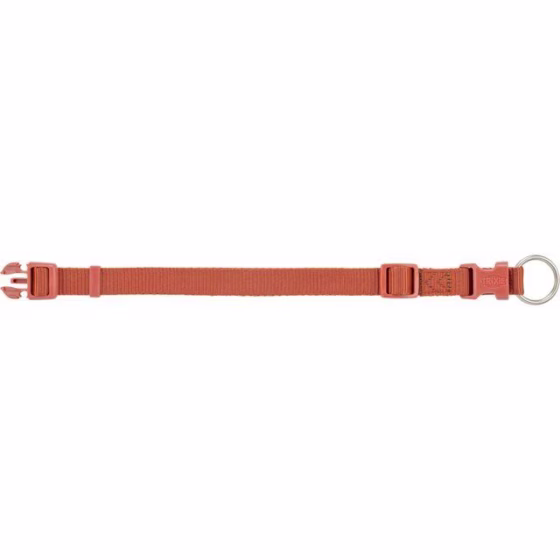 Collier Premium pour petit et grand Chien Rouille