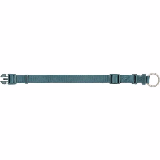 Collier Premium pour petit et gros Chien Petrole