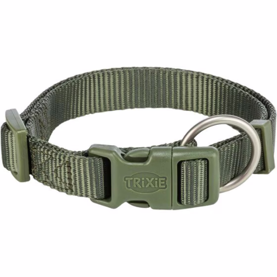 Collier Premium pour Chien Vert olive