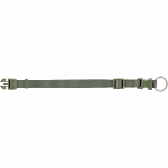 Collier Premium pour Chien Vert olive