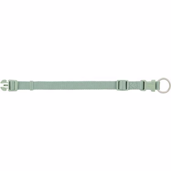 Collier Premium pour Chien Sauge