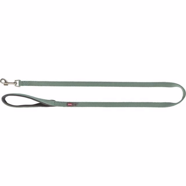 Laisse Premium pour chien Sauge