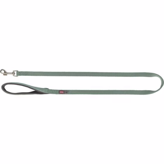 Laisse Premium pour chien Sauge