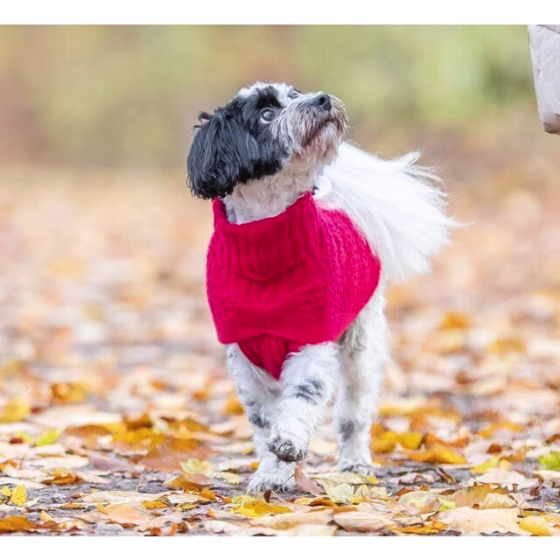 Pull pour chien : Ultra confort Norwood rouge