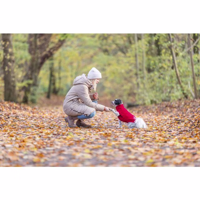 Pull pour chien : Ultra confort Norwood rouge