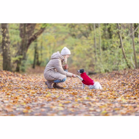 Pull pour chien : Ultra confort Norwood rouge