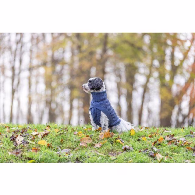 Pull pour chien : Ultra confort Norwood bleu