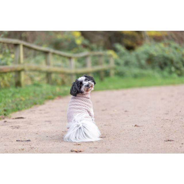 Pull pour chien : Ultra confort Norwood blush