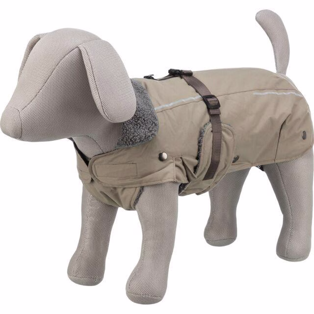Manteau bouledogue français et carlin Rouen Sable