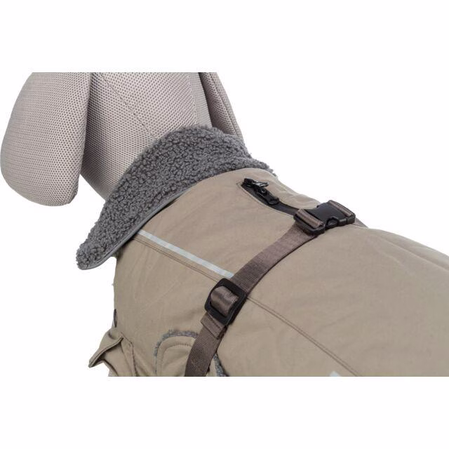 Manteau bouledogue français et carlin Rouen Sable