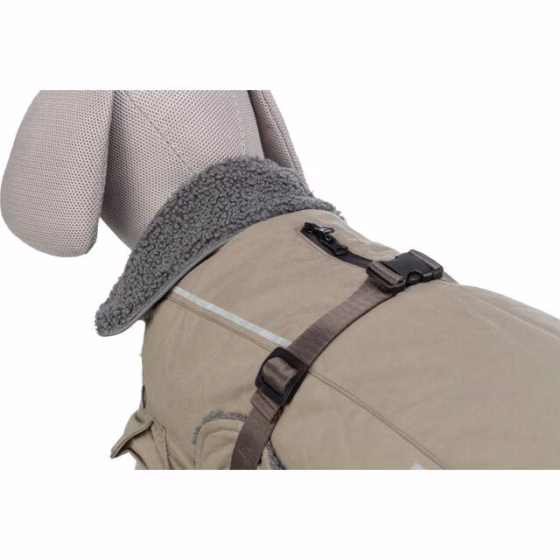 Manteau bouledogue français et carlin Rouen Sable