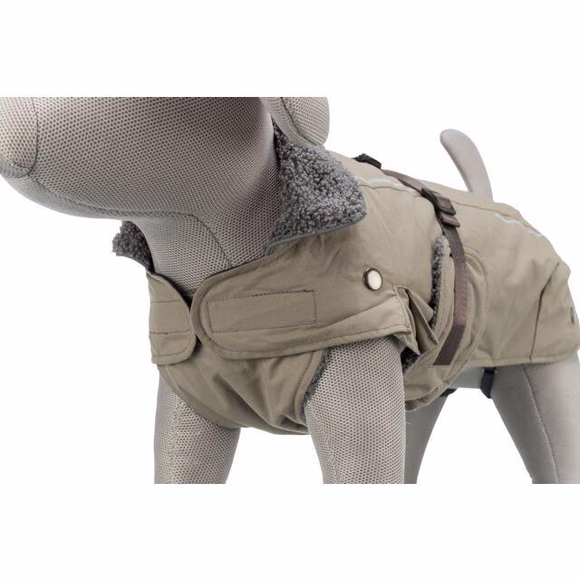 Manteau bouledogue français et carlin Rouen Sable