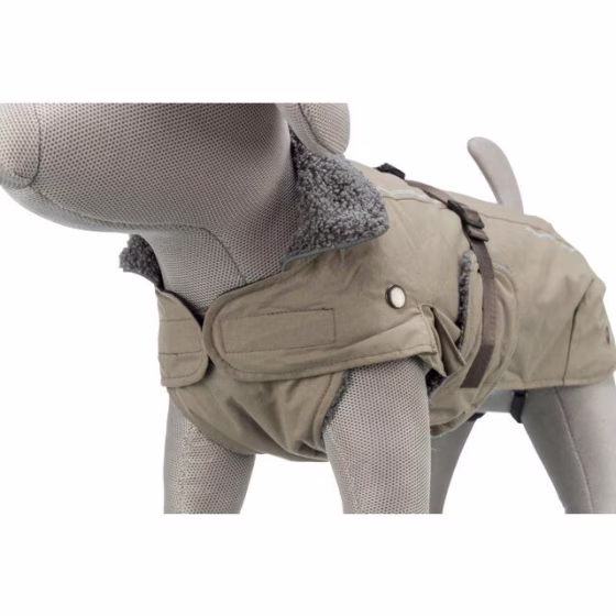 Manteau bouledogue français et carlin Rouen Sable