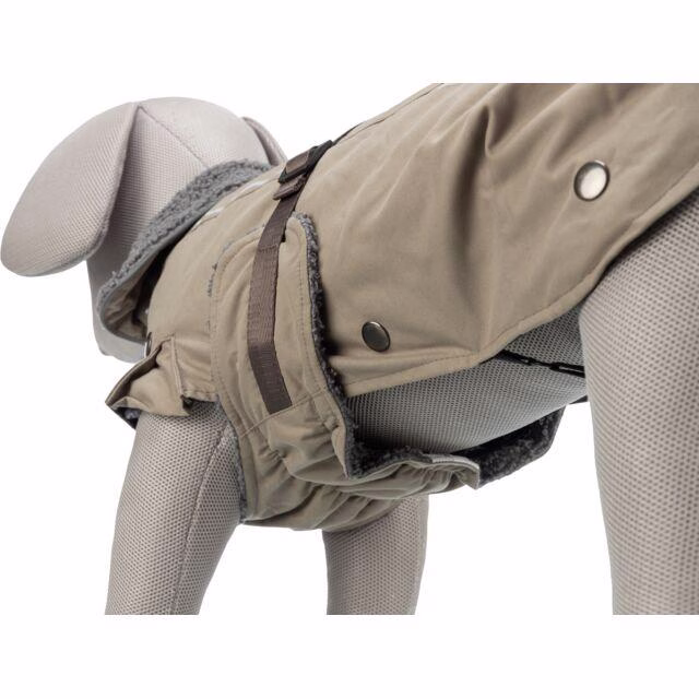 Manteau bouledogue français et carlin Rouen Sable