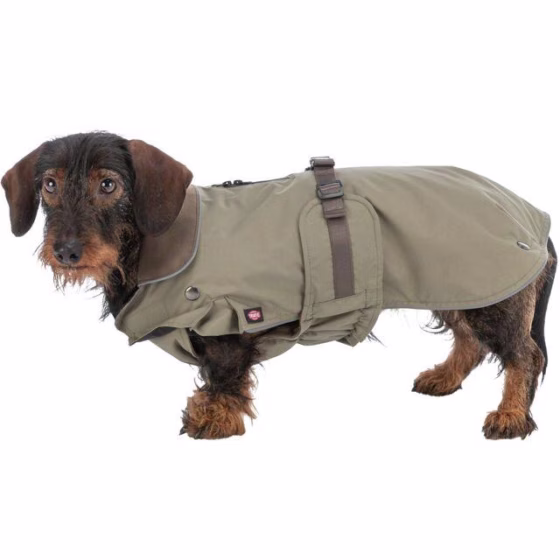 Manteau teckel : coupe spéciale hermy vert olive