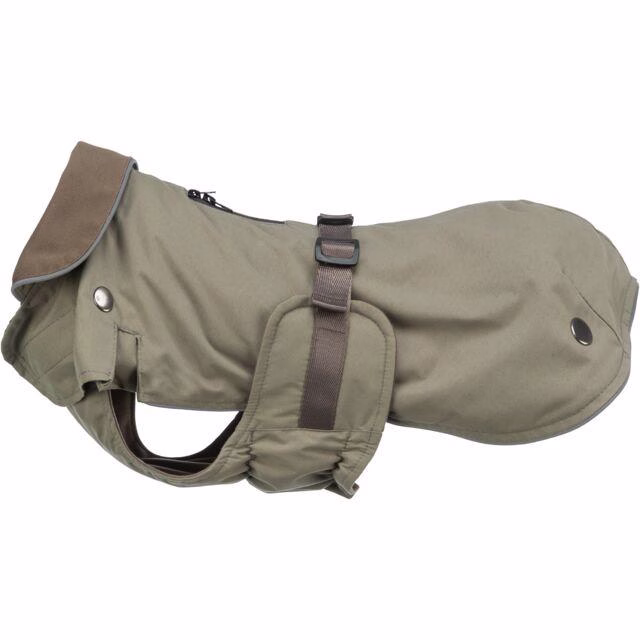 Manteau teckel : coupe spéciale hermy vert olive