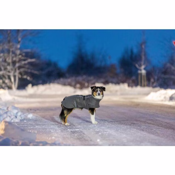 Manteau imperméable réflechissant pour chien limoux