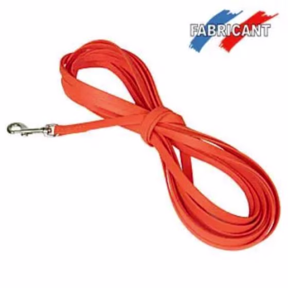 Longe Biothane pour chien