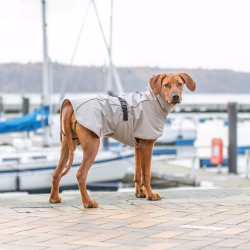 Imperméable Be Nordic Husum pour chien sable