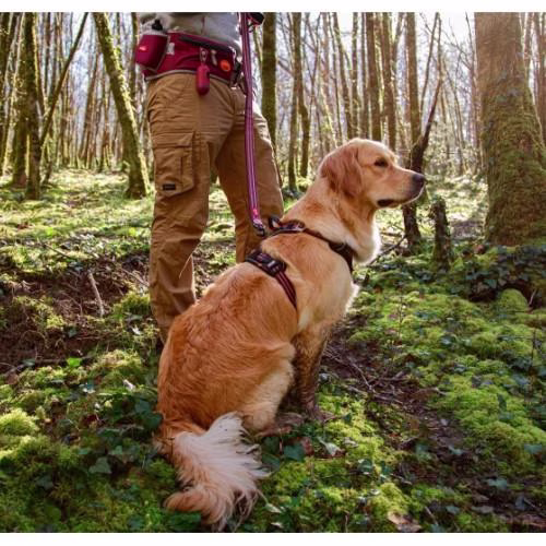 Harnais Bivouak technique pour chien