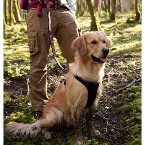 Harnais Bivouak technique pour chien