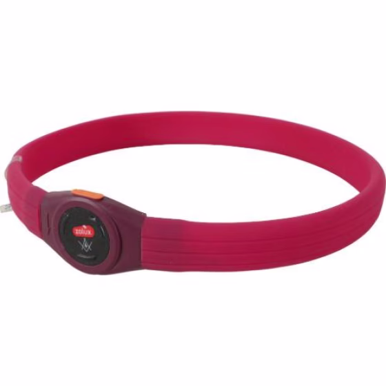 Collier Lumineux pour Chiens à Poils Longs Bivouac - Rechargeable et Ajustable