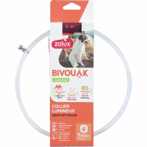 Collier Lumineux pour Chiens à Poils courts Bivouac - Rechargeable et Ajustable