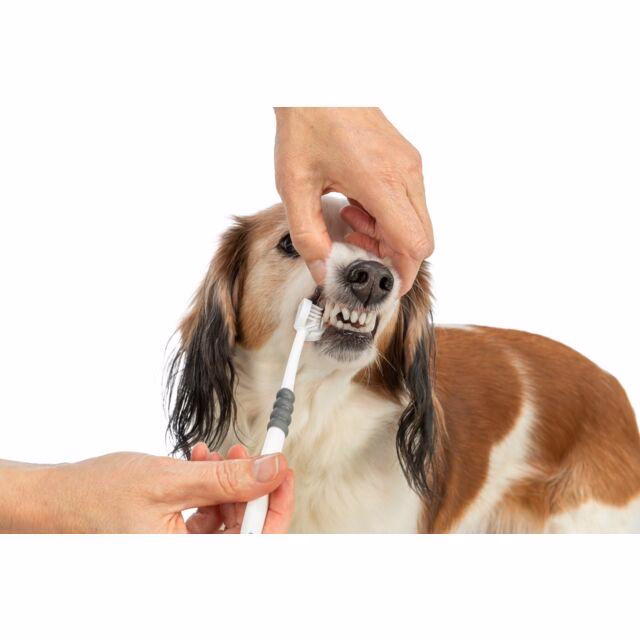 Brosse à Dents pour chien et chat à 3 Faces