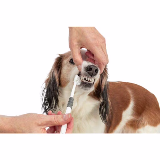 Brosse à Dents pour chien et chat à 3 Faces