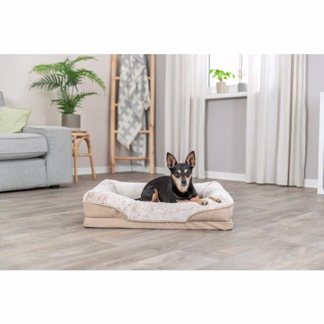 Lit Vital Lino - Lit Orthopédique pour chien