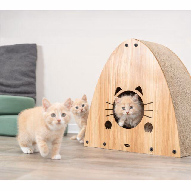 Maison Grattoir pour Chat avec Herbe à Chat