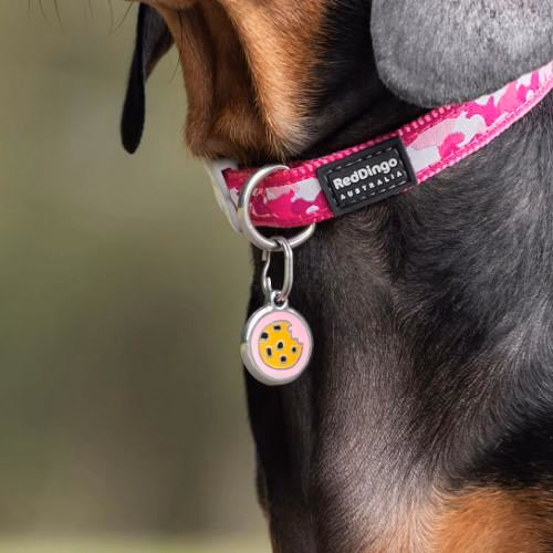 Médaille red dingo Cookie