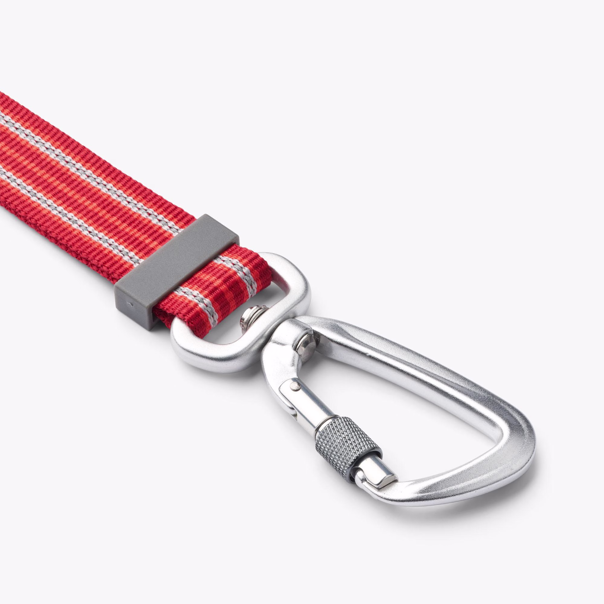 image 1.png