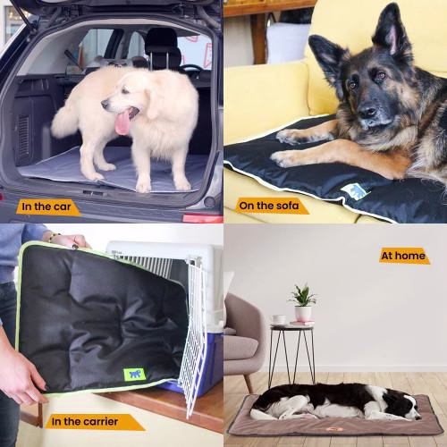 Tapis pour Chien imperméable : Confortable, résistant JOLLY