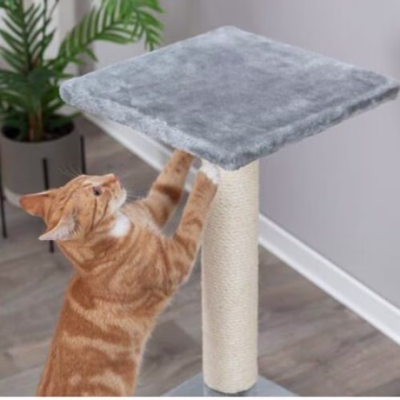 Poteau griffoir pour chat Baena Gris