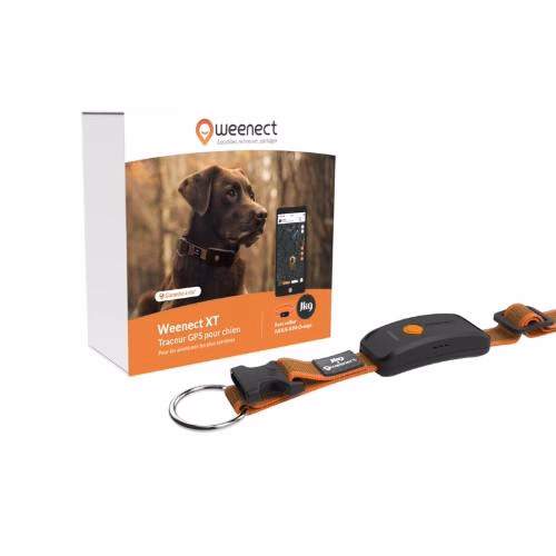 Collier GPS pour chien Weenect XT