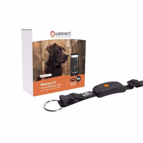 Collier GPS pour chien Weenect XT